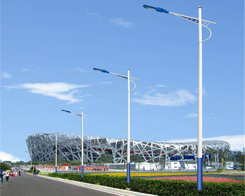 洛扎LED路灯