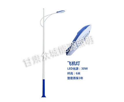 洛扎爆款市电路灯