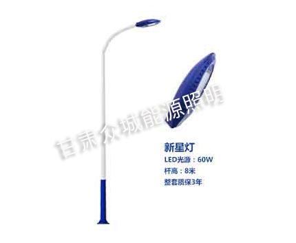 洛扎爆款市电路灯