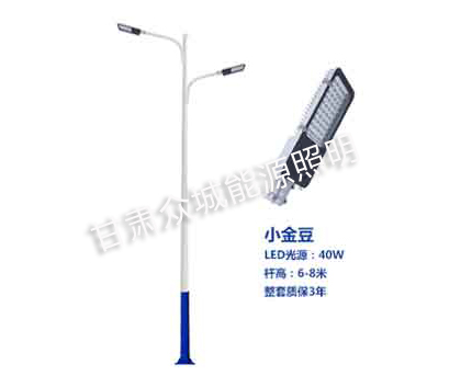 洛扎爆款市电路灯